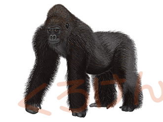 森をさまよう少女