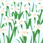 maoi�̌��z��������