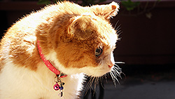 ���낯��photo